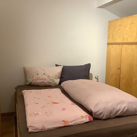 Ferienwohnung Apartment Doppelzimmer In Der Villa Naturpark Rheinblick, Ruhig, Aussicht, Pool Koblenz  Ngoại thất bức ảnh