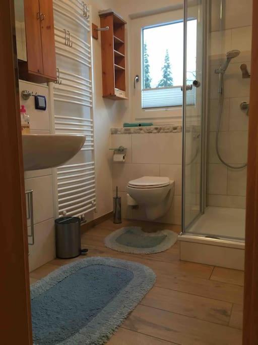 Ferienwohnung Apartment Doppelzimmer In Der Villa Naturpark Rheinblick, Ruhig, Aussicht, Pool Koblenz  Ngoại thất bức ảnh
