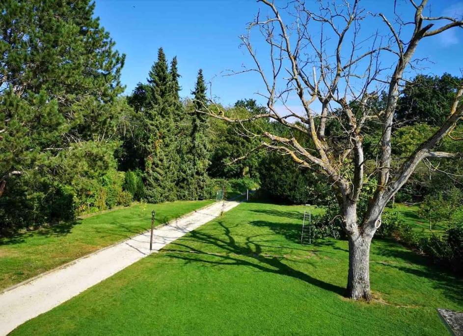 Ferienwohnung Apartment Doppelzimmer In Der Villa Naturpark Rheinblick, Ruhig, Aussicht, Pool Koblenz  Ngoại thất bức ảnh