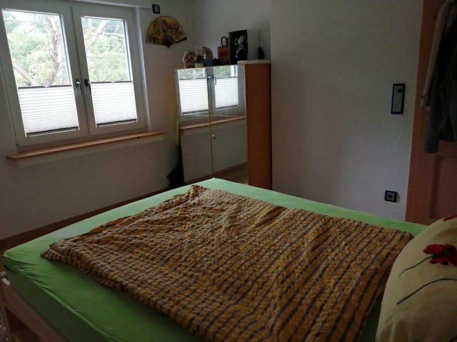 Ferienwohnung Apartment Doppelzimmer In Der Villa Naturpark Rheinblick, Ruhig, Aussicht, Pool Koblenz  Ngoại thất bức ảnh