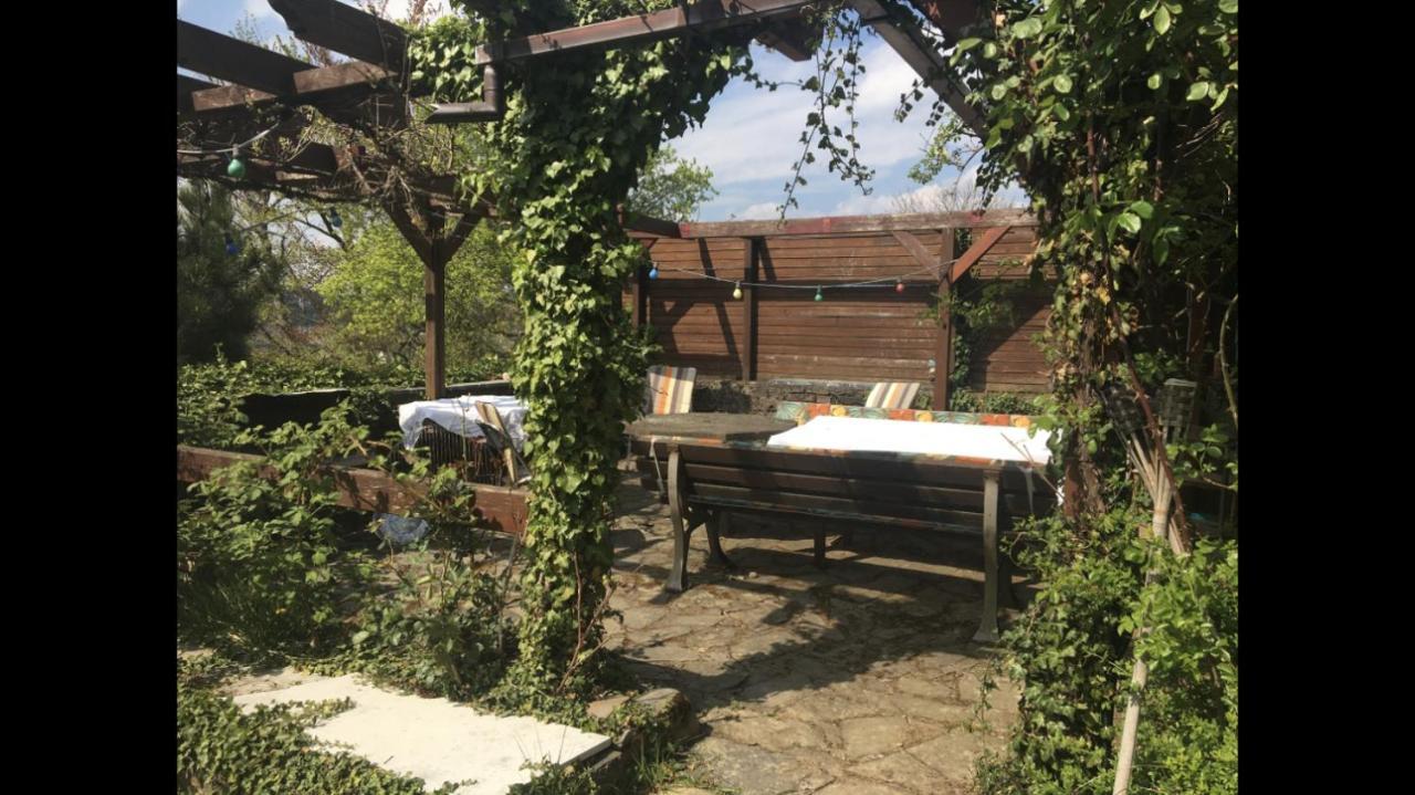 Ferienwohnung Apartment Doppelzimmer In Der Villa Naturpark Rheinblick, Ruhig, Aussicht, Pool Koblenz  Ngoại thất bức ảnh